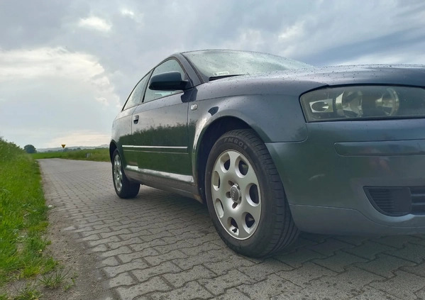 Audi A3 cena 8100 przebieg: 291722, rok produkcji 2004 z Jarosław małe 67